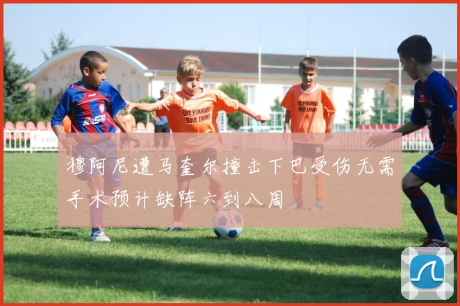 穆阿尼遭马奎尔撞击下巴受伤无需手术预计缺阵六到八周