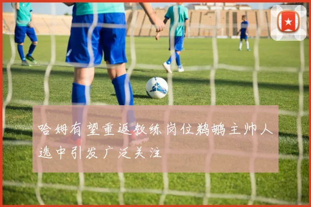 哈姆有望重返教练岗位鹈鹕主帅人选中引发广泛关注